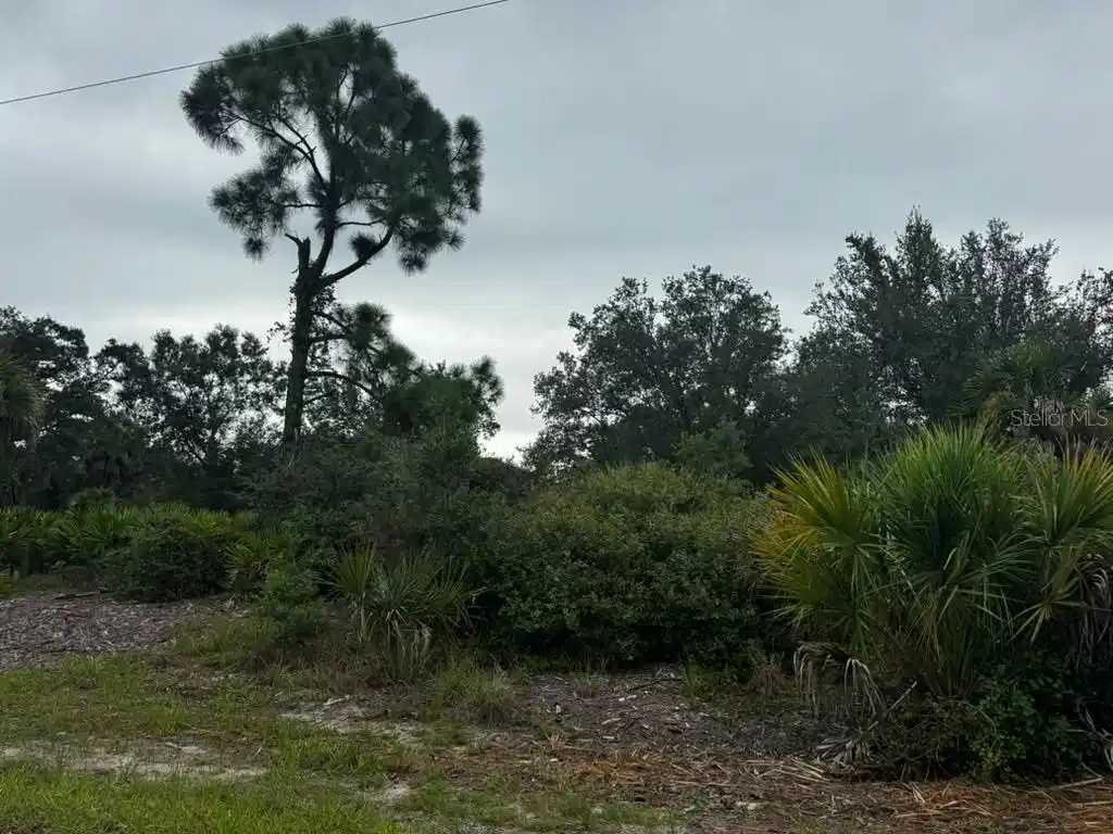 Image 1 Image 1