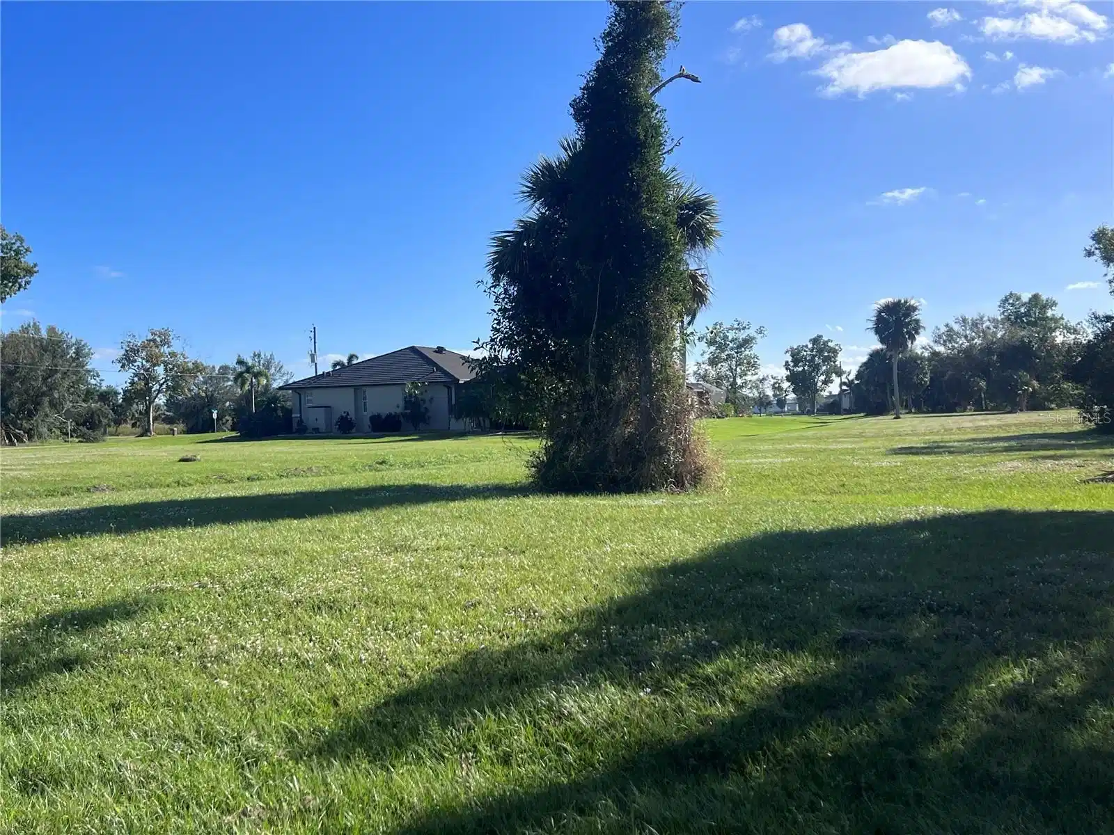 Image 1 Image 1