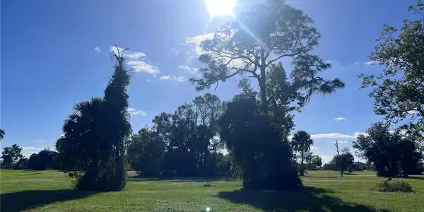 Image 2 Image 2
