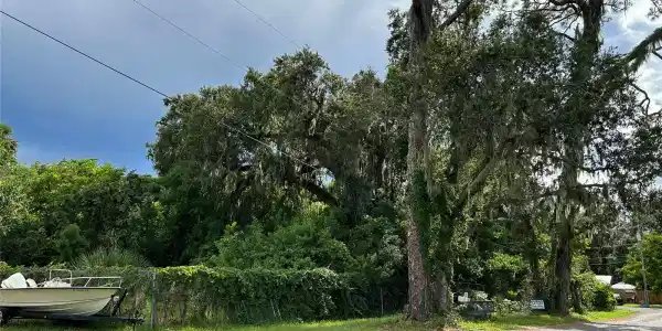 431 Live Oak STREET