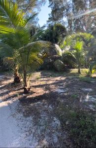 8508 LITTLE GASPARILLA ISLAND