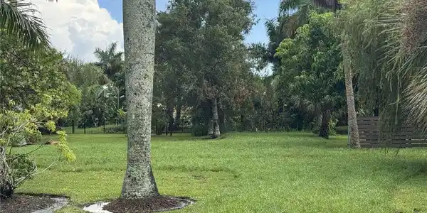 Image 2 Image 2