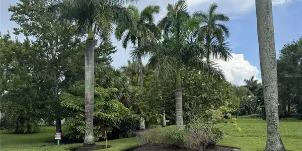Image 3 Image 3