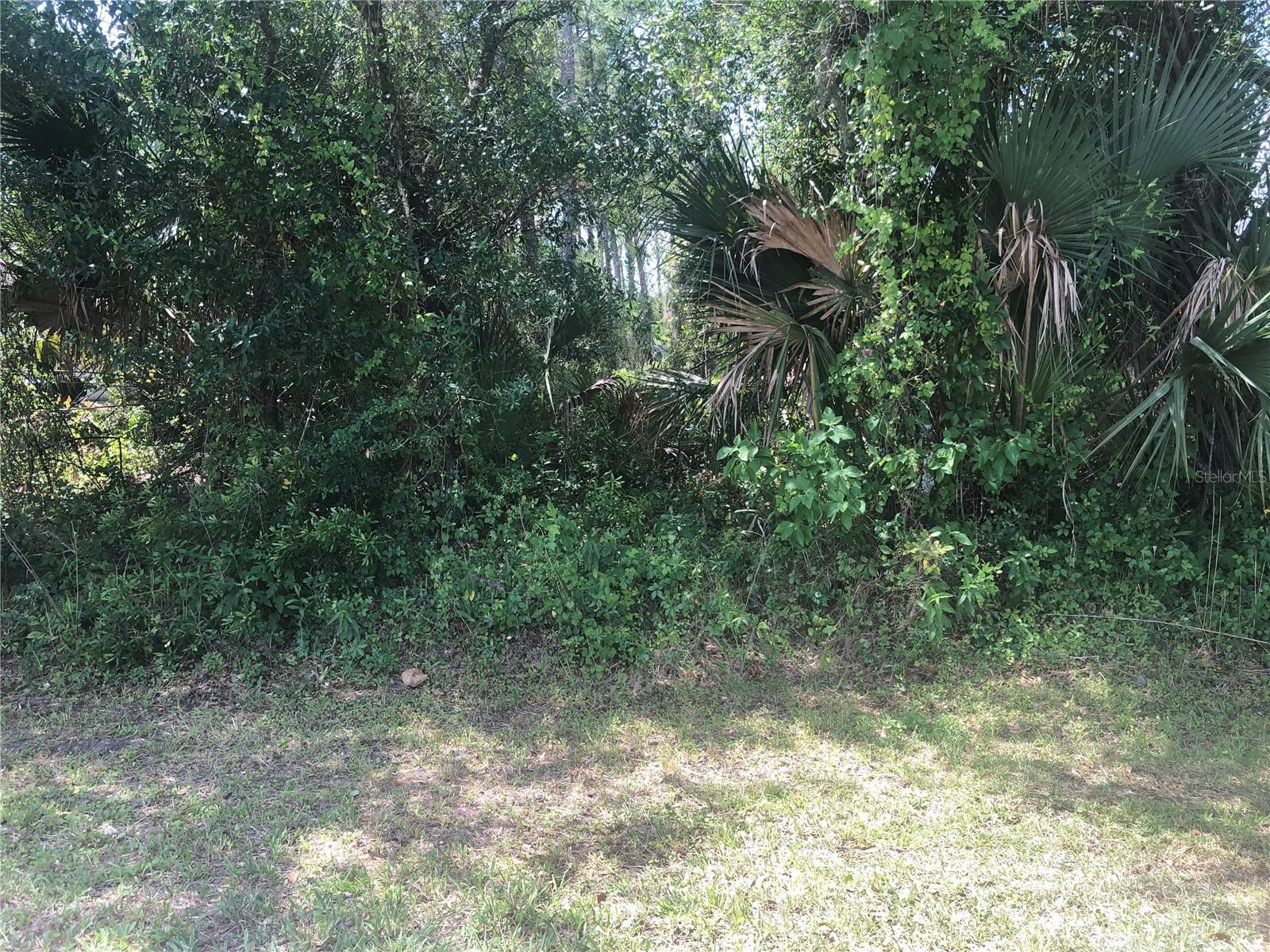 Image 1 Image 1