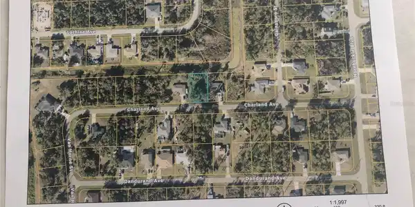 Image 4 Image 4