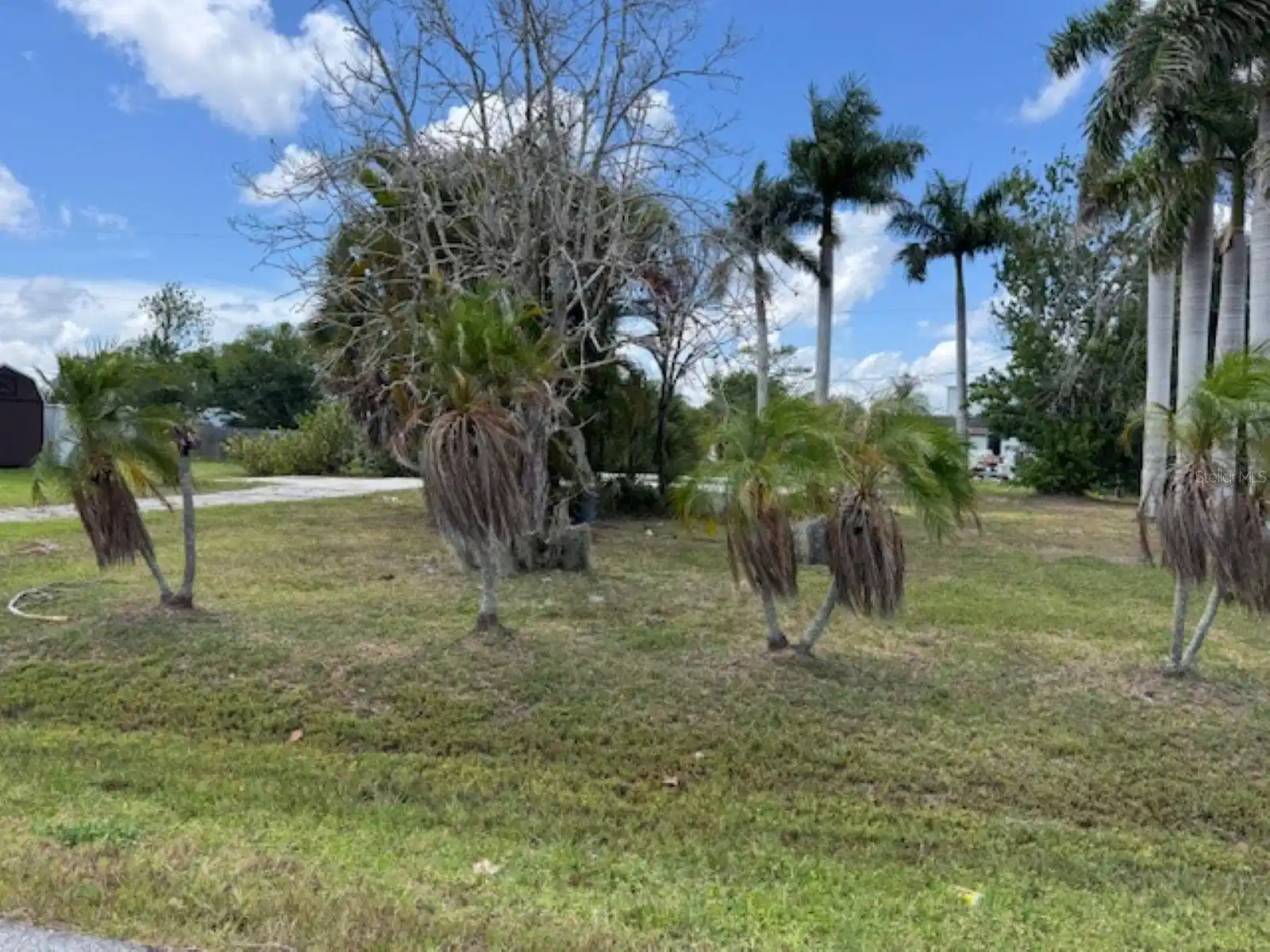 Image 1 Image 1