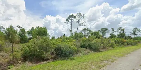 Image 4 Image 4