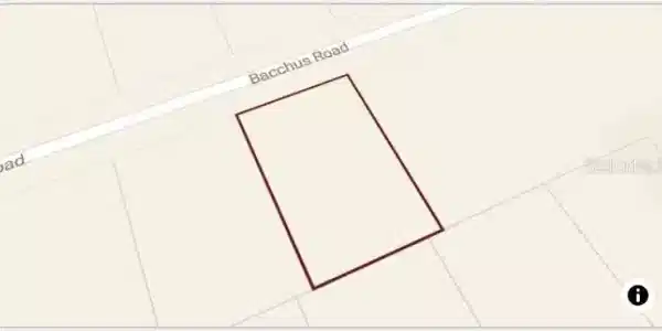 12133 BACCHUS ROAD
