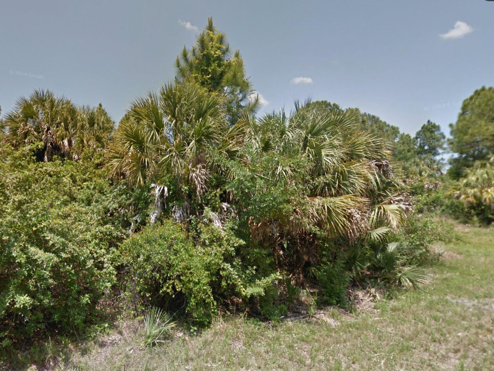 Image 1 Image 1