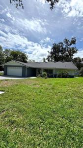 385 WILD ORANGE DRIVE