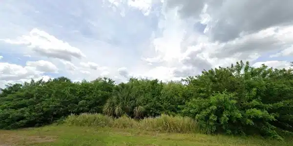 Image 3 Image 3