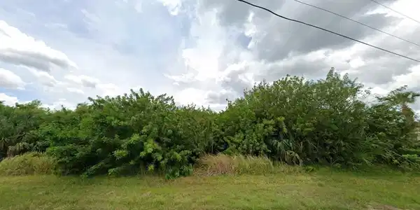 Image 4 Image 4