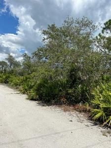LEMON AVENUE