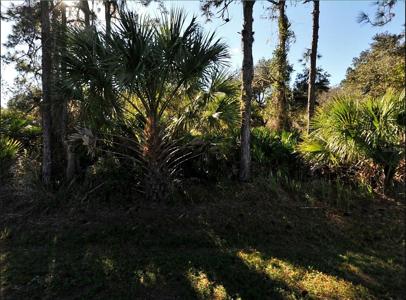 LOT 17 RUIZ STREET