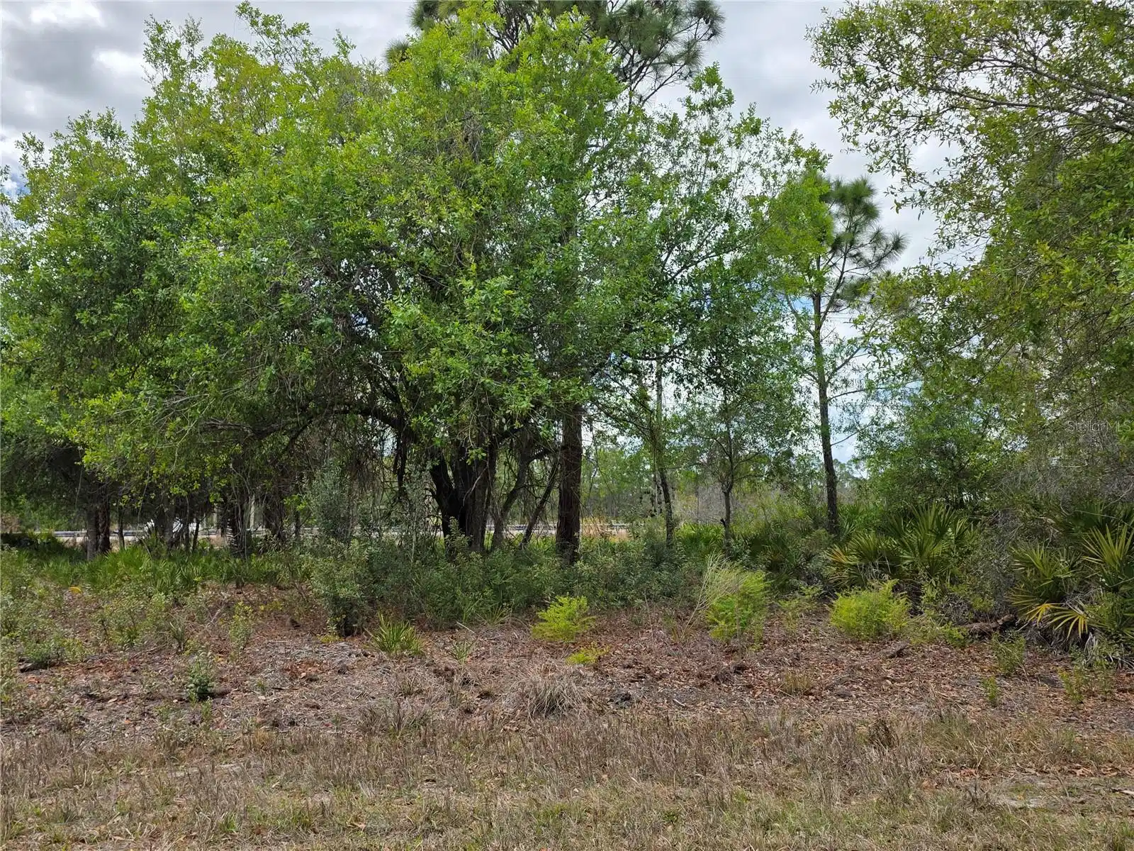 Image 1 Image 1