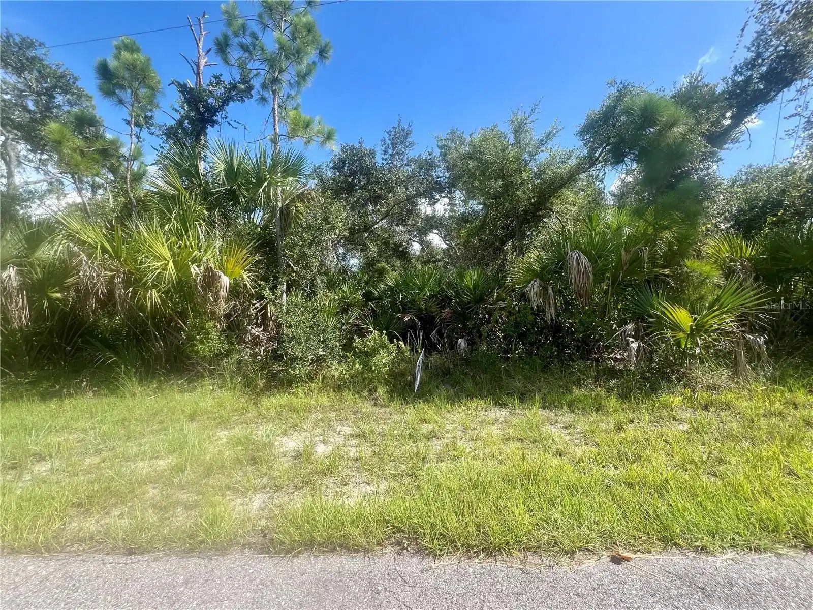 Image 1 Image 1