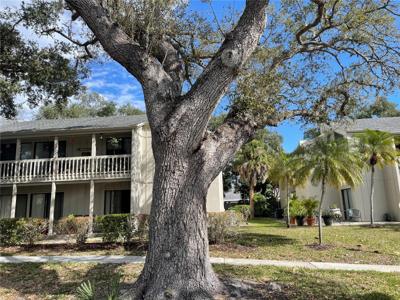 2224 BAHIA VISTA STREET