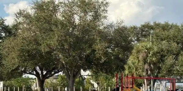 Image 4 Image 4