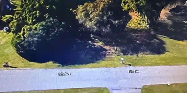 Image 3 Image 3