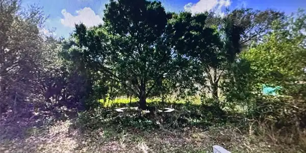 Image 4 Image 4