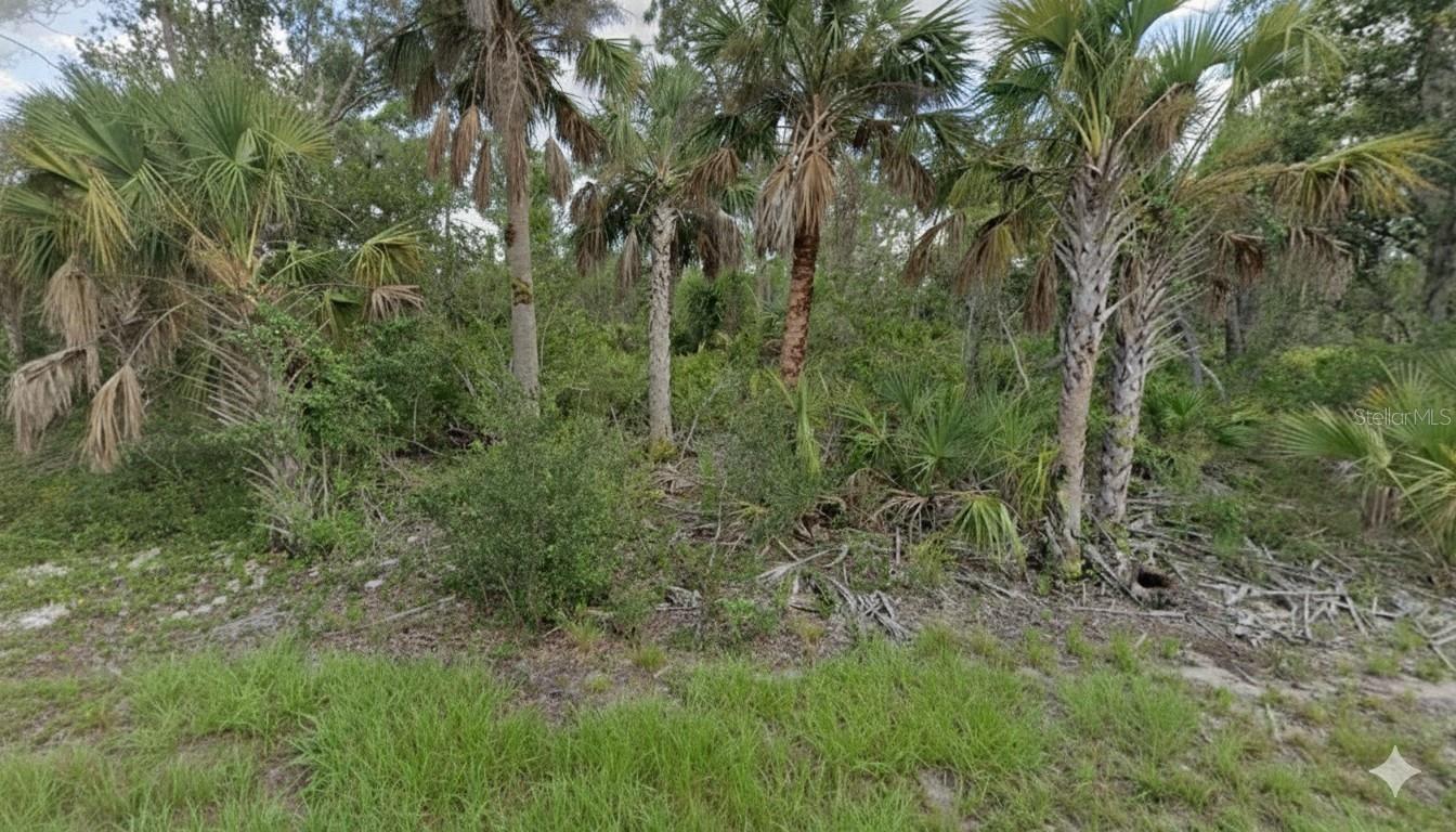Image 1 Image 1