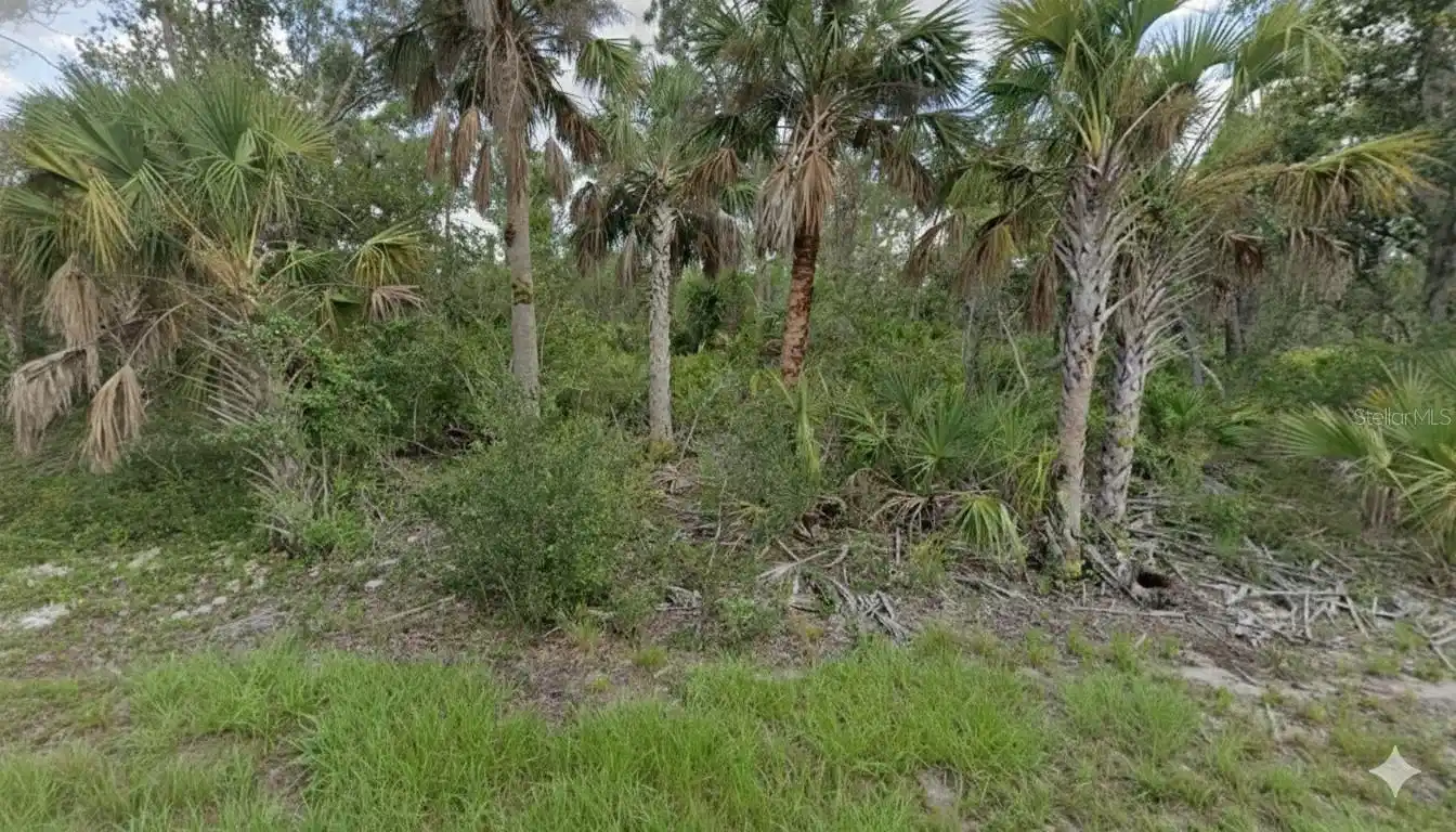 Image 1 Image 1
