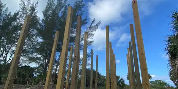 Image 3 Image 3