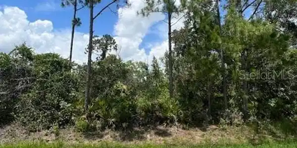 Image 2 Image 2