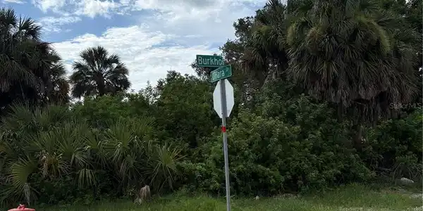 Image 3 Image 3