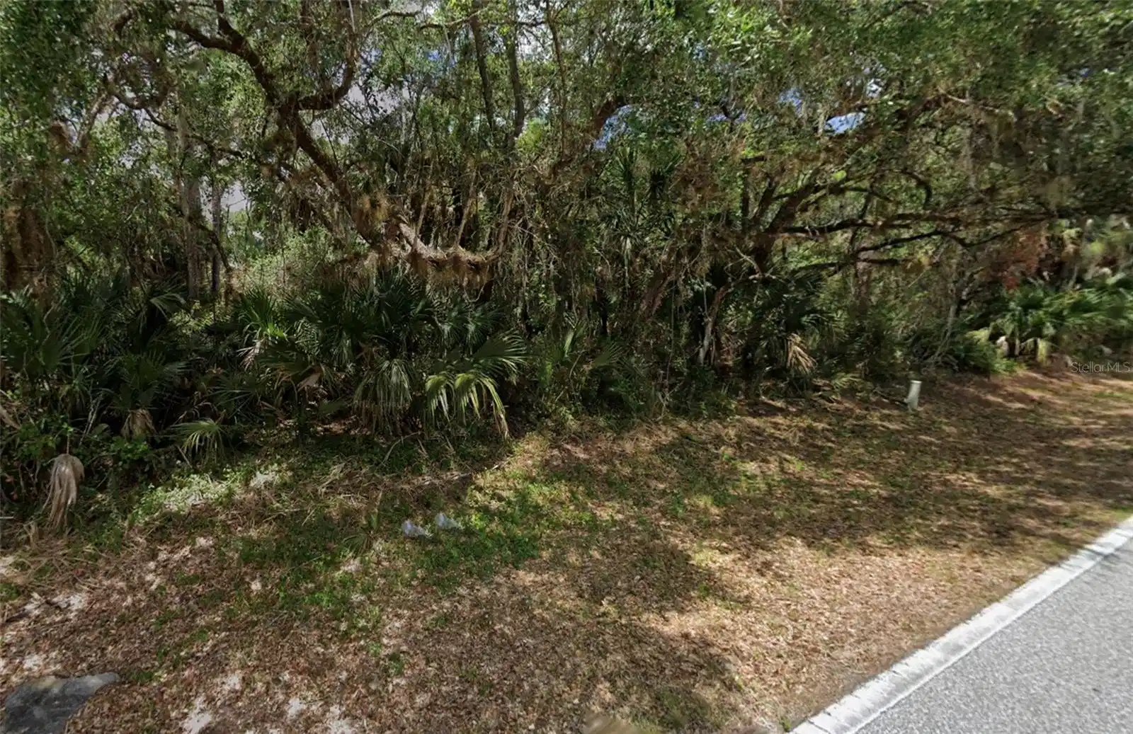 Image 1 Image 1