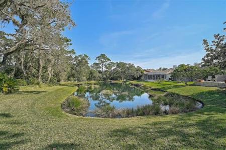 911 TRANQUILITY DR