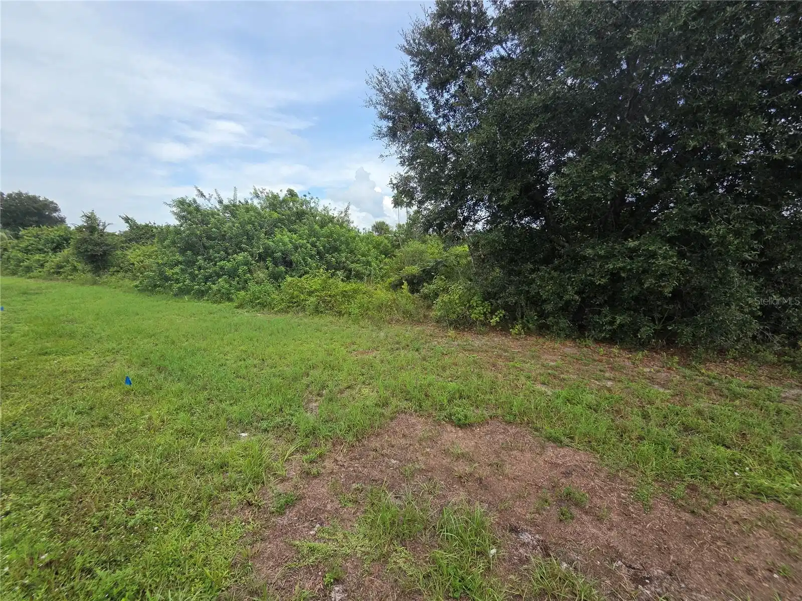 Image 1 Image 1