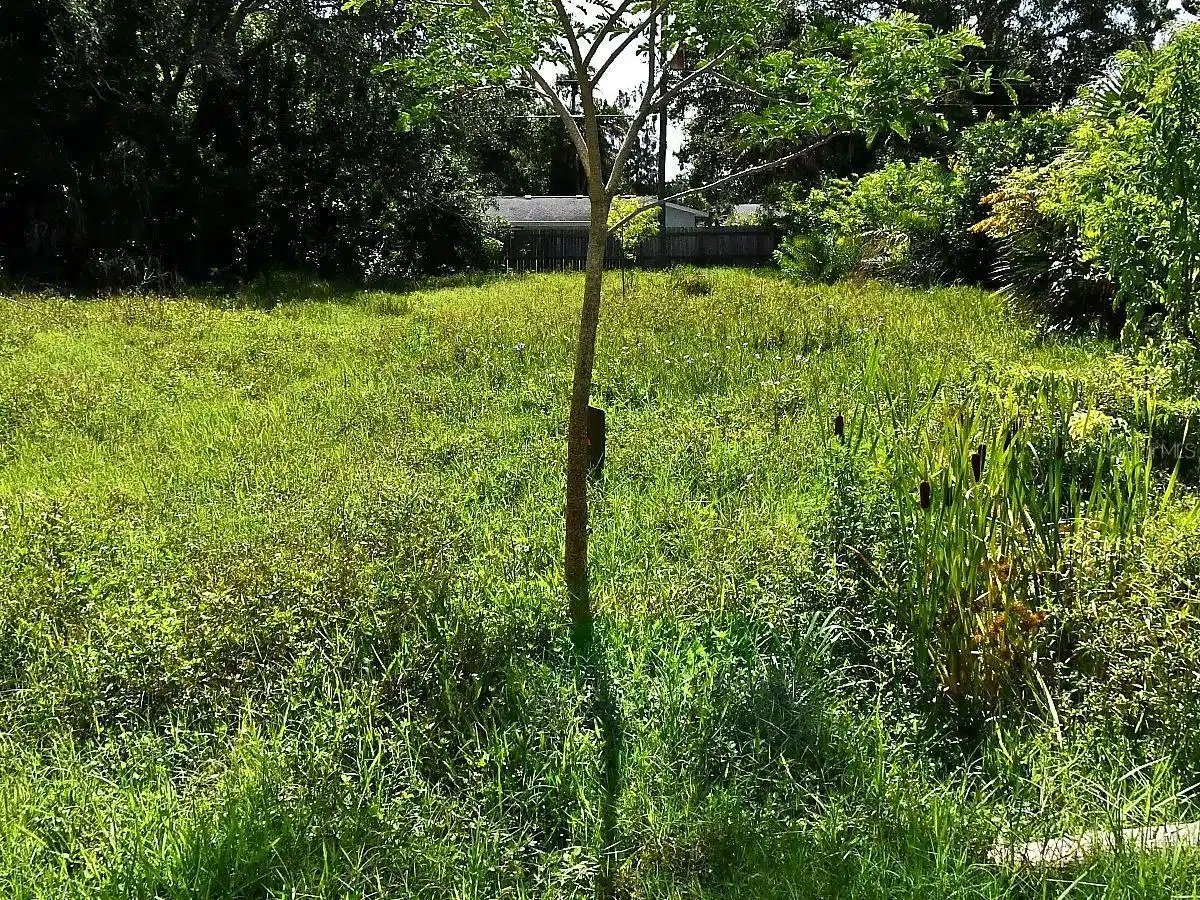 Image 1 Image 1