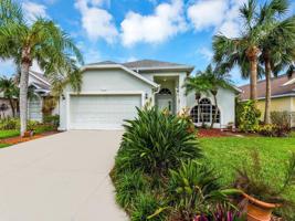13336 QUEEN PALM