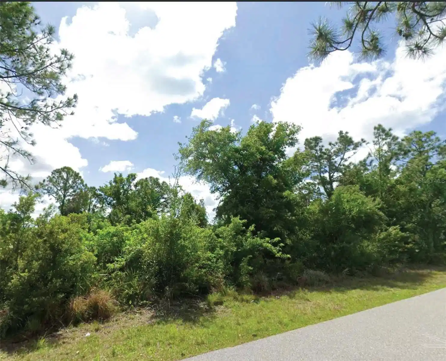 Image 1 Image 1