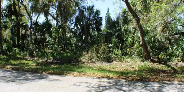 1508 SABAL PALM DRIVE