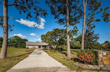 12401 PONY COURT