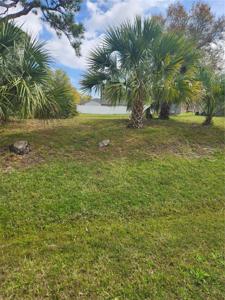 ROYAL PALM DRIVE