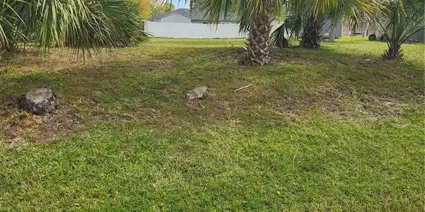 ROYAL PALM DRIVE