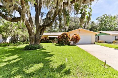 1855 PINE TREE DRIVE