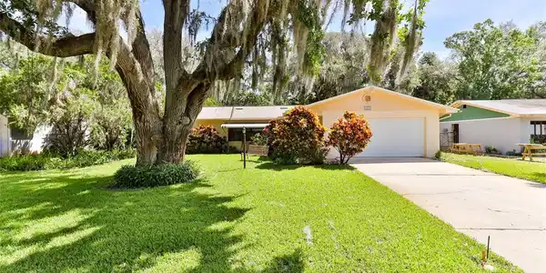 1855 PINE TREE DRIVE