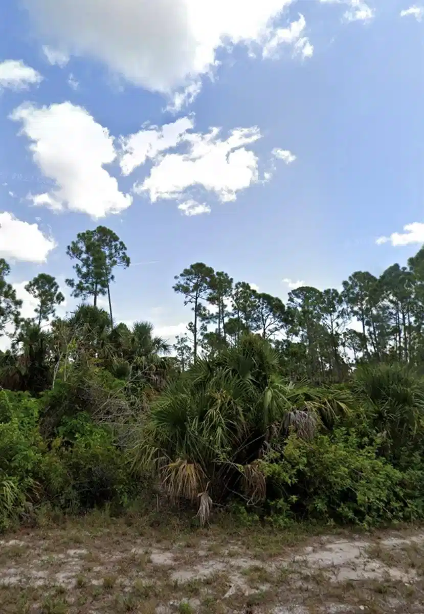Image 1 Image 1