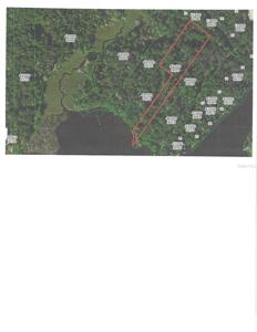 12593 THE HOMOSASSA RIVER