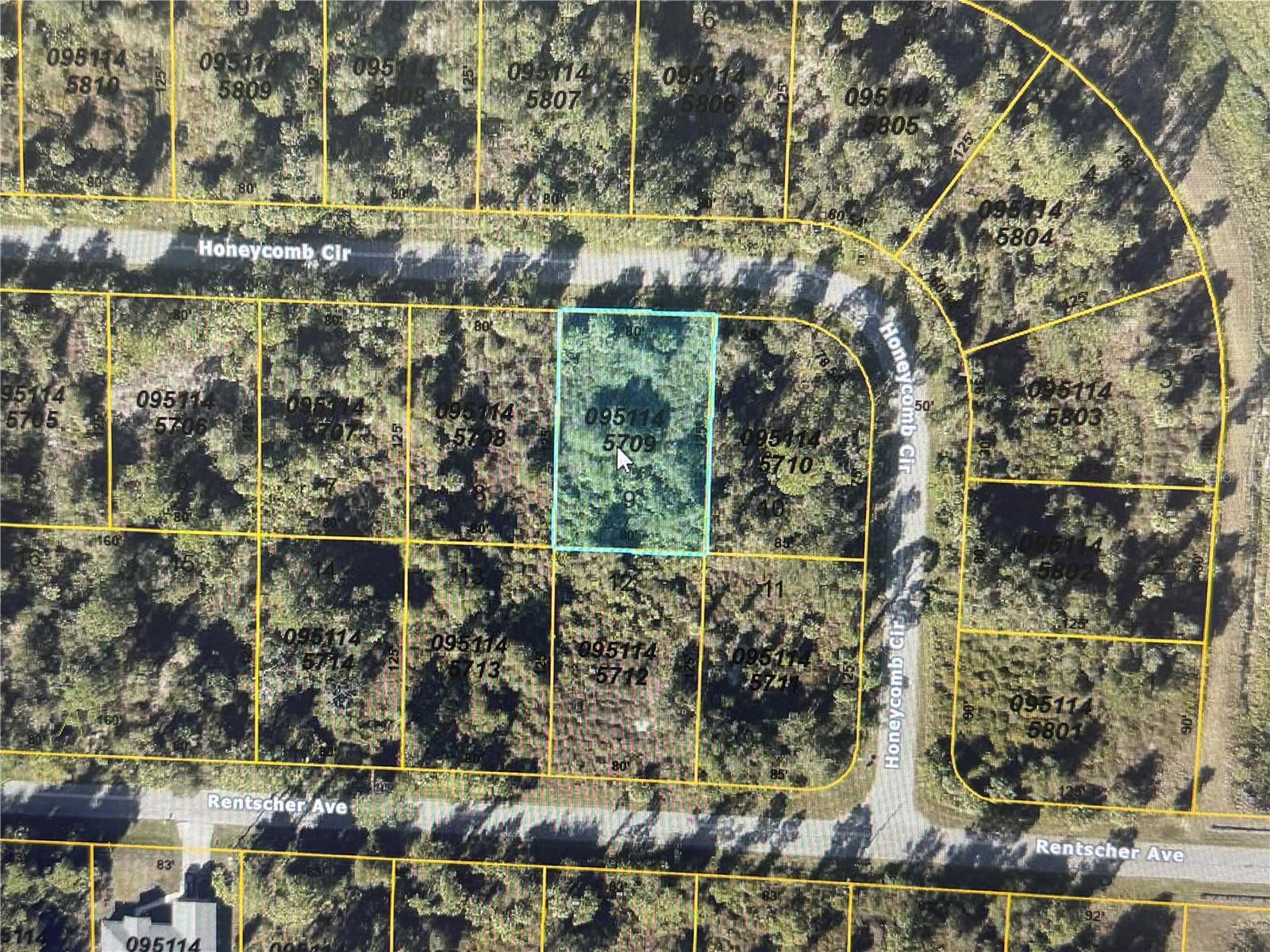 Image 1 Image 1