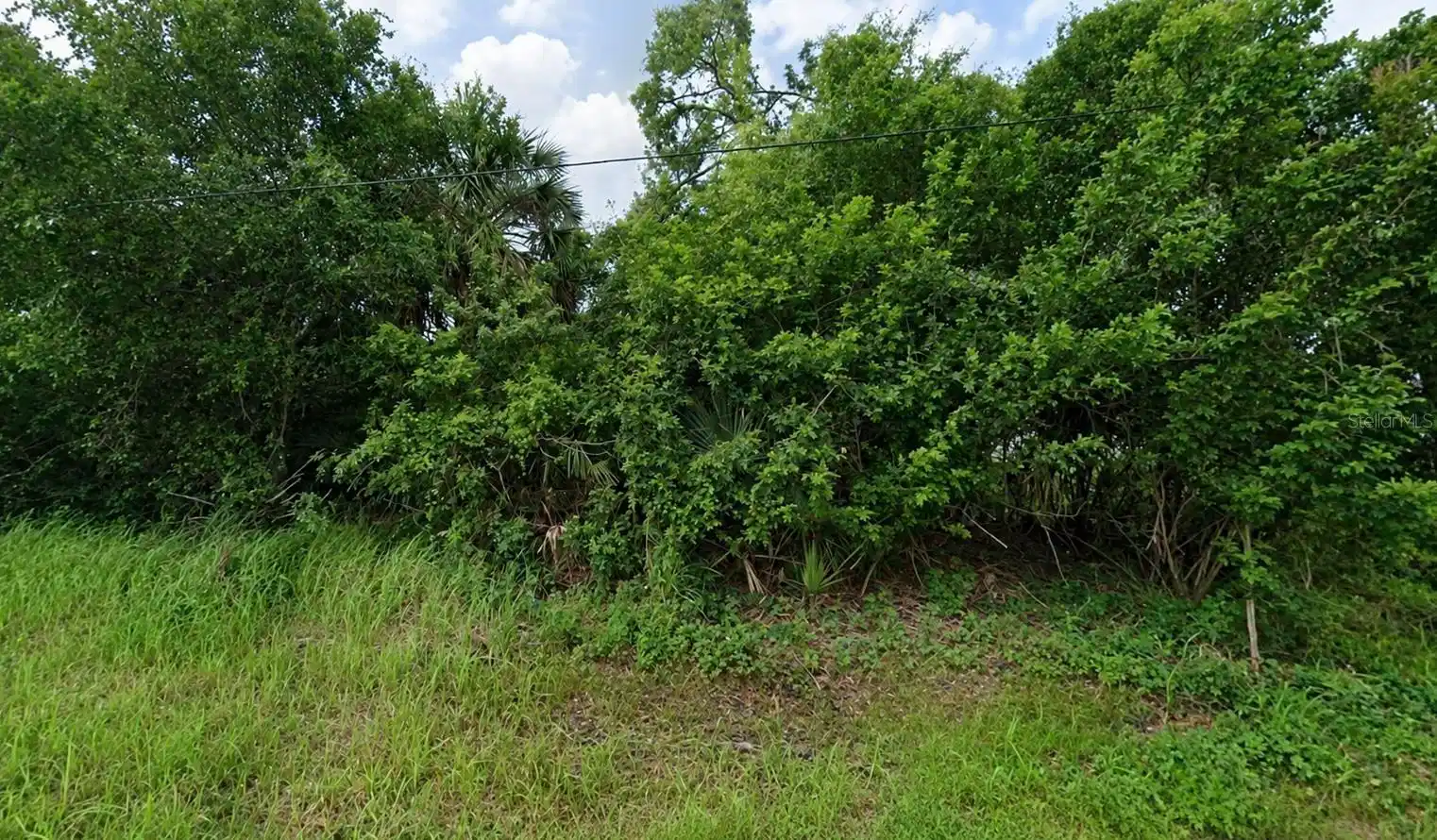 Image 1 Image 1