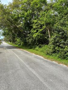 POINCIANA ROAD