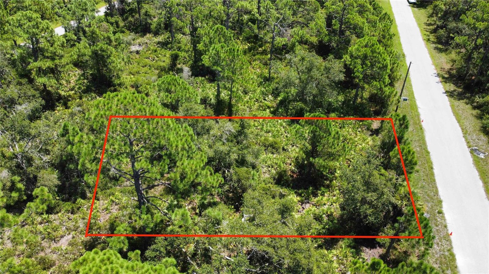 Image 4 Image 4