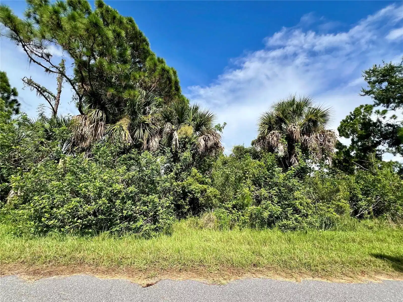 Image 1 Image 1