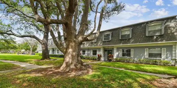 1705 BELLEAIR FOREST DRIVE