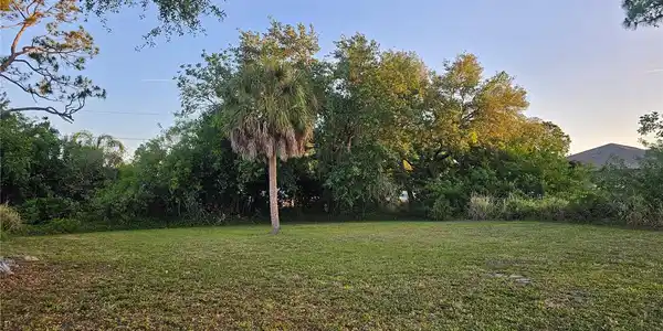 SHAMROCK DRIVE